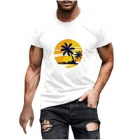 Havajske majice za muške tropske 3D kokosovo drvo tiskane majice Crew vrat kratkih rukava ljetna plaža bijela xl