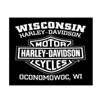 Harley-Davidson muški krug vatrenog lubanja majica kratkih rukava, crna, harley davidson