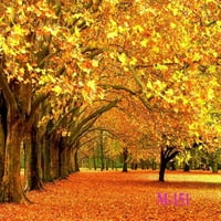 Greendecor Polyster 7x5FT Zlatni javorov listovi svjetski jesenji Scenarij jesen foto foto fotografska