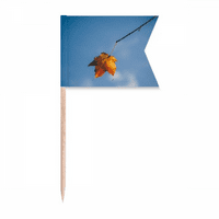 Sky Maple Naucice Priroda Prirodno prirodi zastava za zube zastava za označavanje oznaka za zabavu