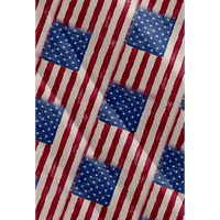 4. jula Muška havajska majica USA Nacionalna zastava Grafička majica Ovratnik dnevni kratki rukav Odjeća za ispis Odjeća Basic